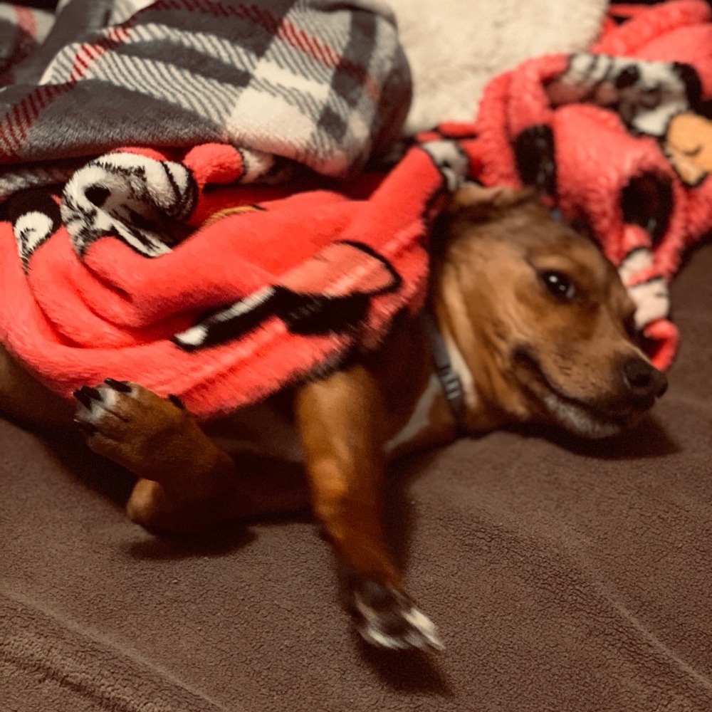 Meet your Posher, Kourtney